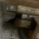حديد مضله تقريبا 3 4
