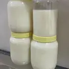 سمن غنم بلدي