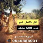 الرياض الخرج الهياثم الضبيعه الدلم الشديده الريحان