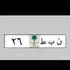 لوحات رقم ومعنى 26 نبط لموديلات 2026  بطل 390  ادح1177 هطم17