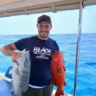 رحلات بحرية