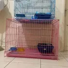 أقفاص