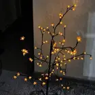 اضاءة ورود جميله
