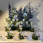 استقبال مواليد