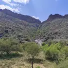 نيص بريك سمين مره