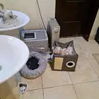 Cats