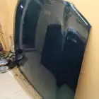 كبوت موستنق 2013 الى 2014