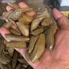 عود مروكي دايموند