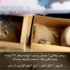 دينمو أيطالي جديد ماقد استخدم
