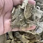 مجموعة من العود الطبيعي والمحسن