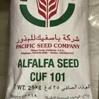 بذور برسيم ( باسفيك )
