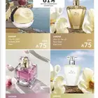 عطور افون عرض