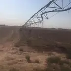 رشاش 4 أبراج مزرعة