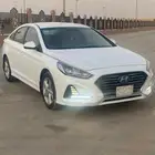 سنواتا2019 بدي بلد عداد 416 الف