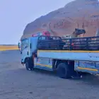دينا ونش مشاوير الابل داخل تبوك وخارجها