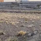 ارض للبيع في تحلية خميس مشيط