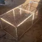 شبك دجاج