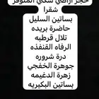 خدمات الكترونيه وحجز اراضي سكني