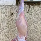 تيوس