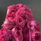 ورد_طايفي