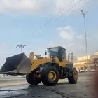 شيول
