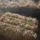 رودس للبيع العدد 5000