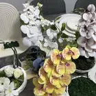 استندات هدياء