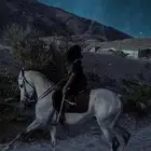 حصان شعبي للبيع
