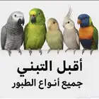 تبني جميع الطيور