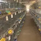 محاكر حمام