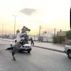 حصان شعبي
