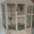 شبك طيور او مطير صغير