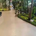 مطلوب غرفه عزاب