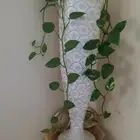 مزهريه