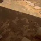 فني شبكات ري وتنسيق الحدائق