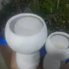 مؤسسة زهرة الخليج الزراعية نجران -دحضة