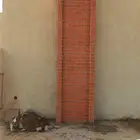 مشب وجار قمار متخنه