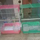 مستلزمات طيور