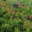 مشتل زراعة والصيانات شامله للحديد