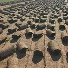 مستحات خضراء