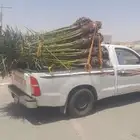 الجله فسايل طيبه للبيع الي له نضر يتواصل