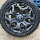 جنوط جيتور T2 2025