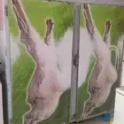 رماح سوق الخضار