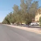 مطلوب غرفة عزاب في حي الشفاء او شقه