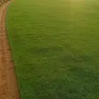 توريد جميع انواع الثيل الطبيعي سي 2000فرنسي