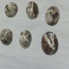 فصوص احجار كريمة من السعودية للبيع والسعر علا حسب الكمية