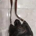 ركوه عكه ومشعاب وكاس جلد