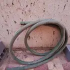 هوز وايت