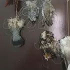 نقول للبيع لطرح الصقور شغل يدوي ماهو تجاري ا