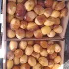 خراف مناصيف هلاليه